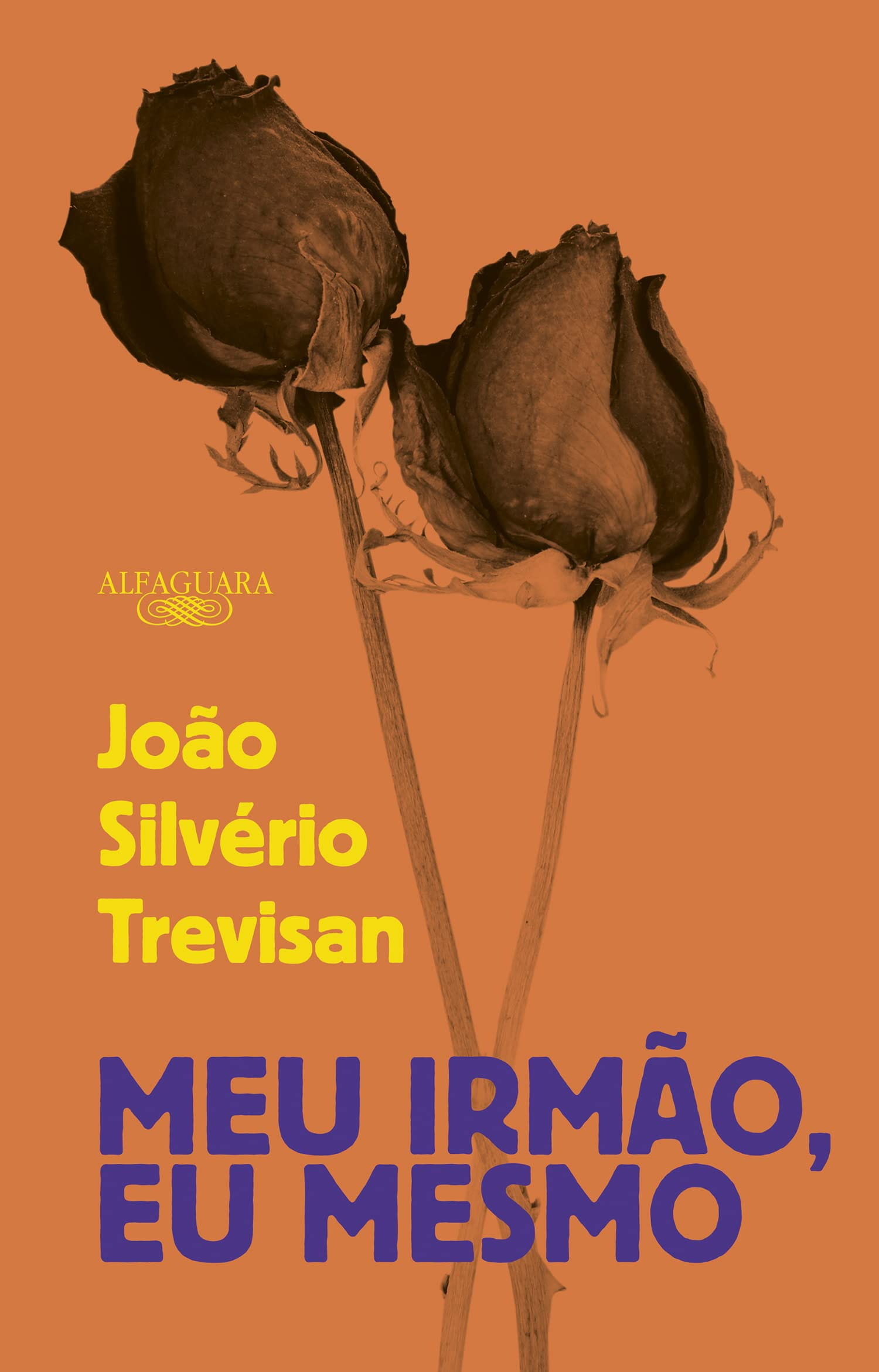 Meu irmão, eu mesmo, de João Silvério Trevisan | Resenha